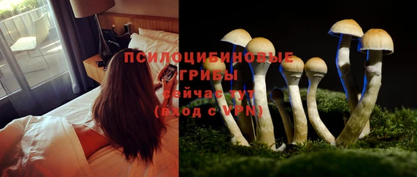 прущая мука Семёнов