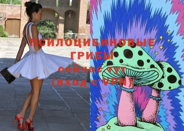 мяу мяу мука Алексин