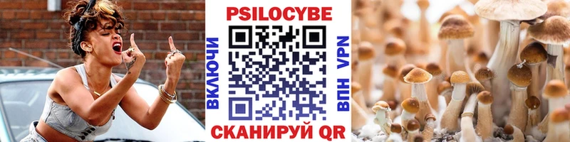 купить наркотики цена  кракен как войти  Галлюциногенные грибы мухоморы  Дрезна 